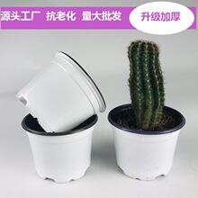 ����P9�����pɫ������Ӻ�I�B����ֲ��ܛ����������������¼�