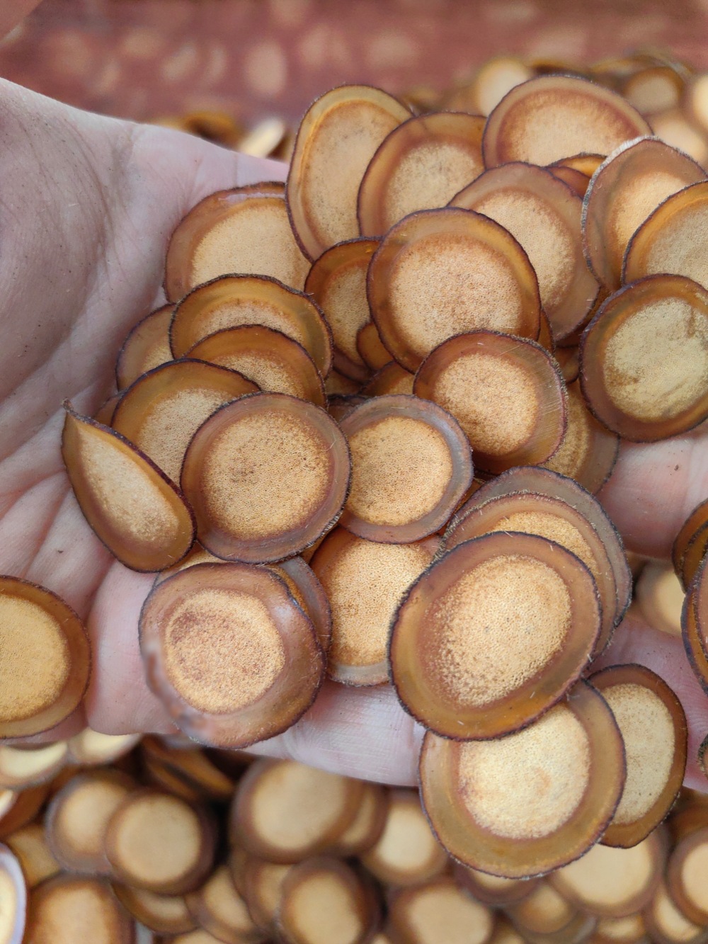 Deer Antler Slices Lu Rong Half Wax Slices Jilin Sika Deer Tonic Herb for Wine Infusion and Cooking 50g key features