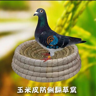 �������ӸC�����ݸC����Ԫ�����ӳ��C�̨���F��ֳ�C�u�C�B�C