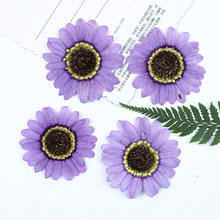 格兰黛丝紫色干花批發材料diy植物押花压花干花材料书签脸部装饰