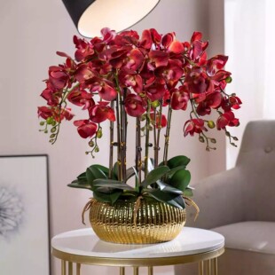 PU�ָз�������m���ϼٻ��ܿ͏d�������Ͳ廨ˇ�[���̈��Ƶ��b�