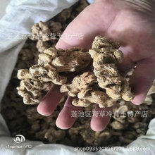 竹节参,别名,白三七,明七,竹根七,批发中药材竹节参