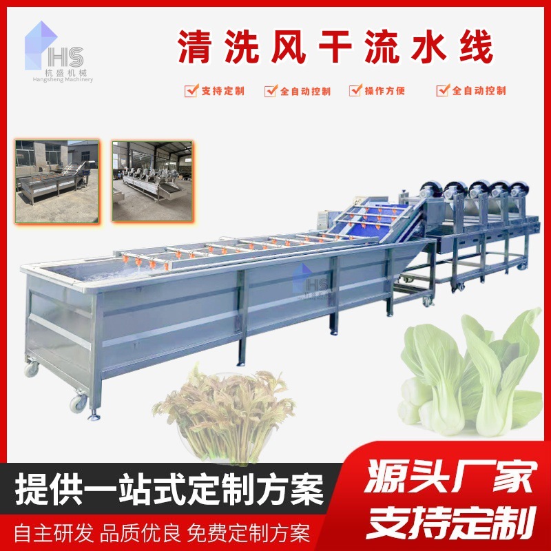Máquina de limpieza de burbujas de frutas y verduras comerciales Máquina de enjuague de papas y cebollas Máquina de limpieza de frutas frescas de acero inoxidable gran equipo de secado por aire