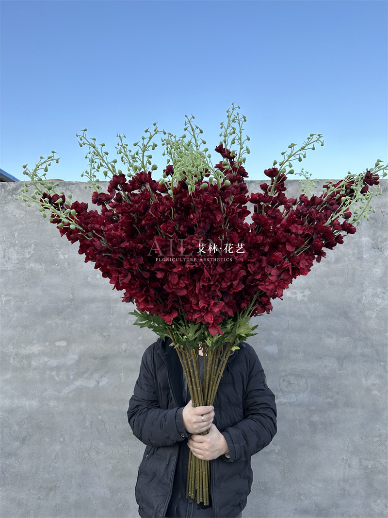 Extra large delphinium