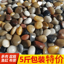 ͥԺ�Zܛʯ��ɫʯ�^5���Z��ʯ�쾰��ȻСʯ��ԭʯ�~�׻����껨ʯ