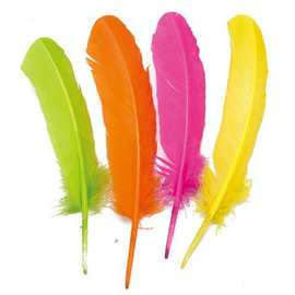 厂家批发彩色羽毛鹅窝翎漂白鹅毛窝翎手工DIY工艺品饰品服装辅料