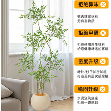 ����Gֲ�߶��p���҃����Դ�������b[���͏d�Gɫ��ֲ��������