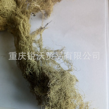 1�������lɢ�b��ƷŮ�}���ϼ�������졢���L�ٸ�؛