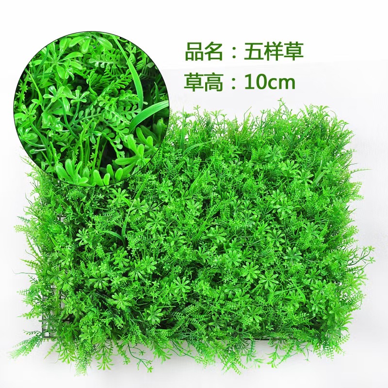 mmexport1621382914875