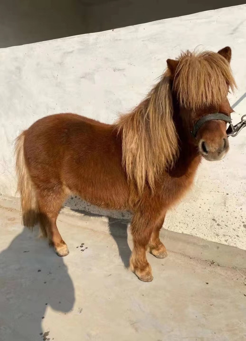 微信图片_20230429203430