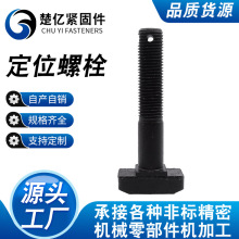异型螺栓打孔螺栓高强度T型螺栓尾部打孔螺栓厂家