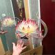 Mid-Autumn Festival Lantern 2025 New Year's Antique Shooting Props Portable DIY Handmade Hanfu Lotus Lantern