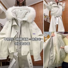 ʽI޼ӺSL޷2025ﶬůɸΊA