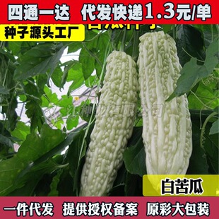 �߲˷N�Ӵ�����ϷN�Ӱ��������L�׿�����̨ͥԺ�Nֲ���ϷN��
