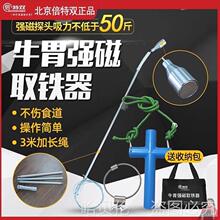 FͱţFpţθȡūFȡFθFLθŻ\