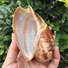 ��Ȼؐ�����ݻ�ư�ݾ�ؐ�~��ֳ���~���b������Ի��脓��[��