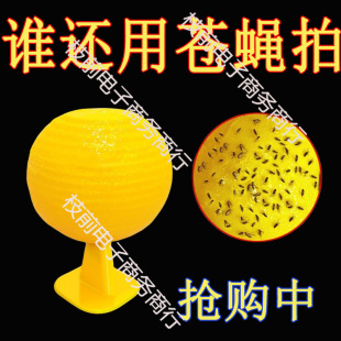 Indoor Sticky Insect Non-Toxic Removal Fly Killer Fruit Fly Fly Artifact Mosquito Fruit Shop Kitchen Home
