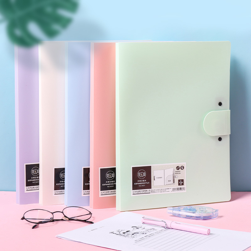 Multi-Pocket Plastic A4 Organizer File
