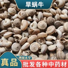 ��΁ţ��ș�� ΁ţ�� ����·���ݚ� ����·�� ���ݚ�