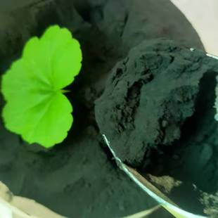 �������������r��������ýն�̿��������̿�ۏͺϷ�̿����̿��