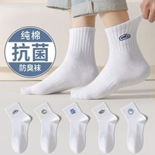 ���������п��ﶬ��ɫ�����˶���͸���������������ٴ���Ͳ������