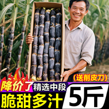 广西黑皮甘蔗10斤应季当季时令甜黄金黄皮青皮新鲜水果整箱批发