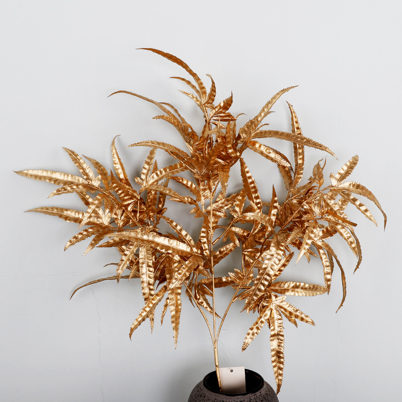 3叉鸡爪枫,H26.5,叶径12