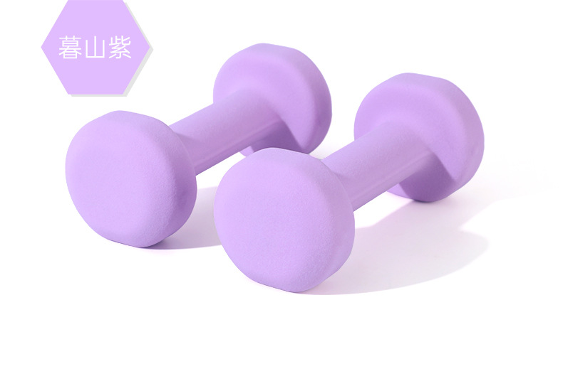 Dambıl kadın spor ev öğrenci çocuk alt zil erkek yoga sınır ötesi katı dökme demir daldırma plastik set küçük dambıl