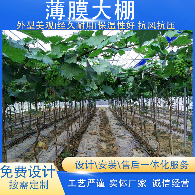 连栋大棚工程建设 薄膜种植大棚农业水果温室大棚 厂家一站式供应