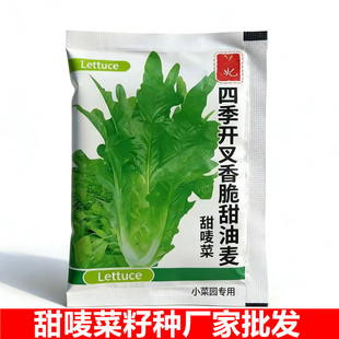 ���ߴ�9-12cm���m�����O���ѷN��˷N�ӏS��ֱ�N�߲˷N��