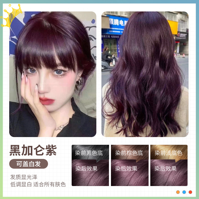 검은 건포도 보라색 [식물 거품 염색] + 도구