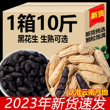 2023年新货云南黑皮花生带壳生的富硒黑花生5斤/10斤黑花生种籽子