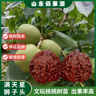 ���������޽���Ƥ�M���Ǫ{���^����Ҙ����Ϸ������Nֲ������