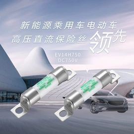 高压熔断器;保险丝座(盒);一次性保险丝