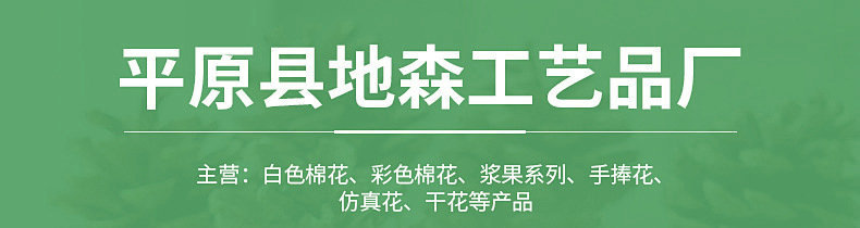 O1CN01uapfte2Cq2laIjIt7_!!2209