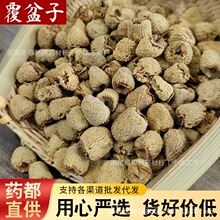 rҰ㽭ǧuؼɣˮȸɹșץl