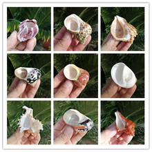 ��Ȼ����ؐ���G�ݼľ�з��ؐ�����~���ÓQ��ˮ���~���쾰�b[��