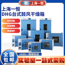 上海一恒DHG系列电热鼓风干燥箱DHG-9070A台式 鼓风干燥箱