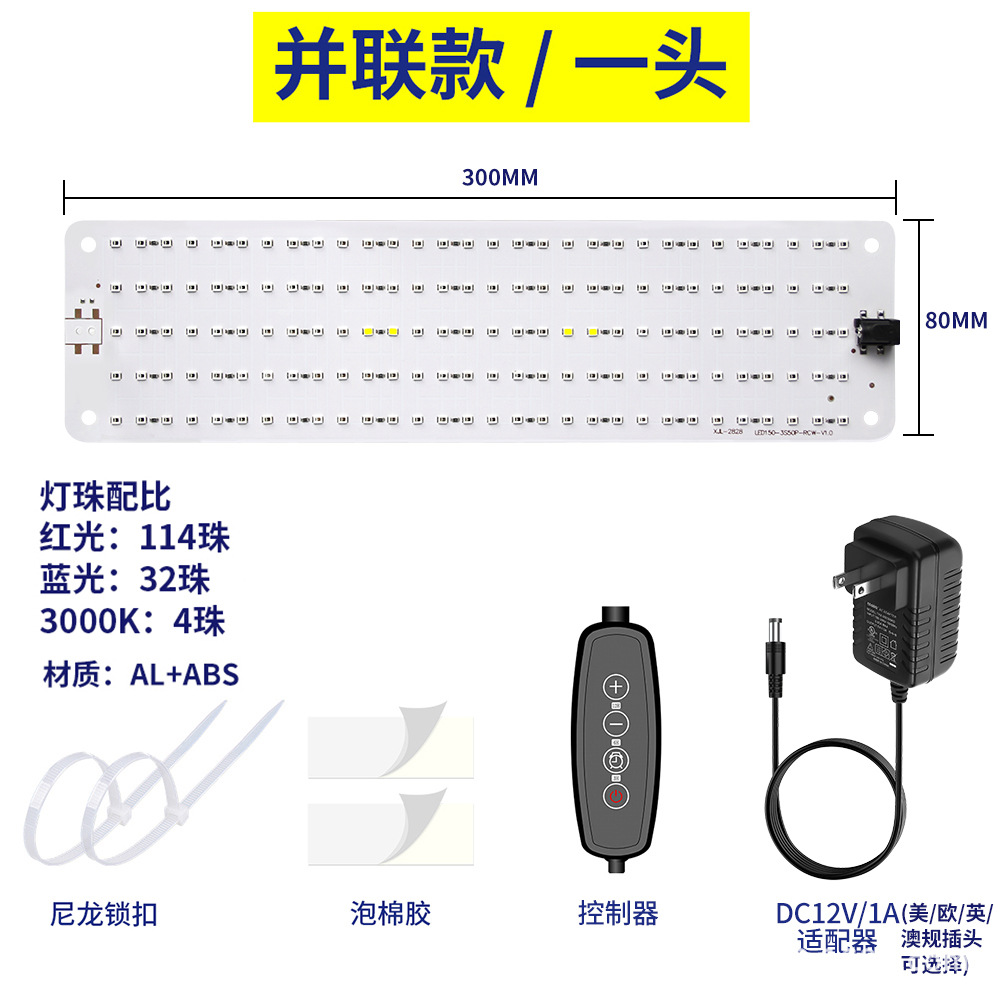빨간색과 파란색 빛 - 미국 표준 - 한쪽 끝