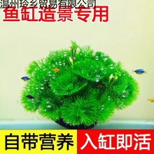 �G����������������ˮһ���׃���ˮ�|Ʒ�羳ֱ�l���S