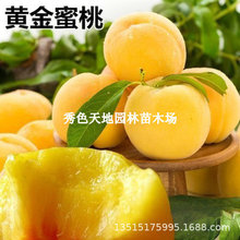 �S���Ҽ޽��Ҙ����S������Ҙ�������S�Ҙ����ϱ����Nֲ���Ե���