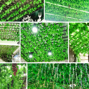 ���������~�S�����l�٘��~�G�~�� ��ɽ���~�ٻ������ٵ���b��~