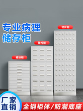 ����Ϟ�K���M����Ƭ����Ƭ�惦����ř��tԺ��Ƭ���晙���˱���