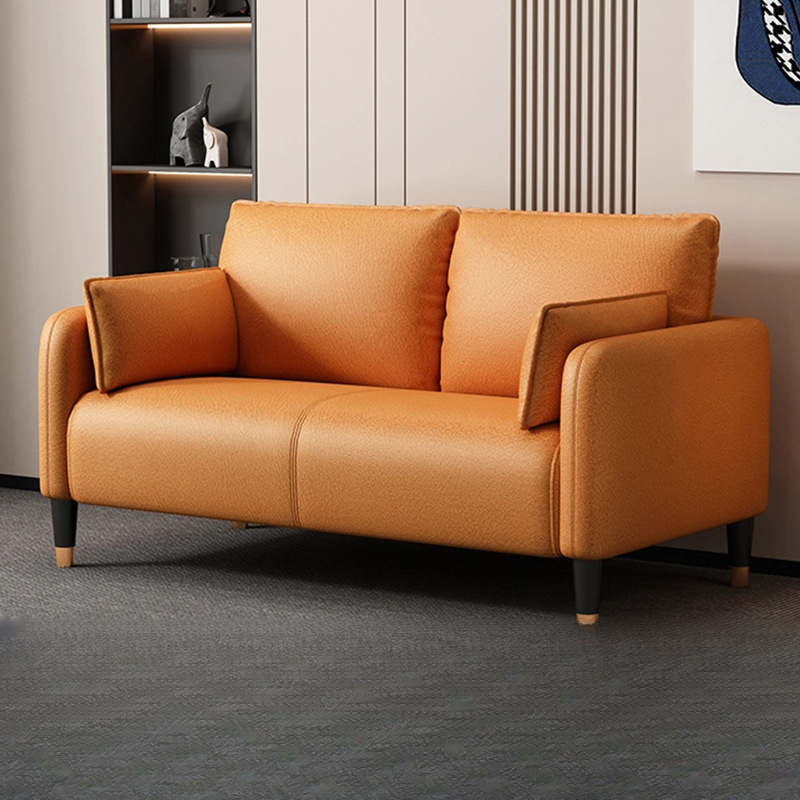 Technology Cloth Sofa Living Room Small Apartment Simple Modern Apartment Light Luxury Bedroom Rental Room Double Three Person Clothing Store