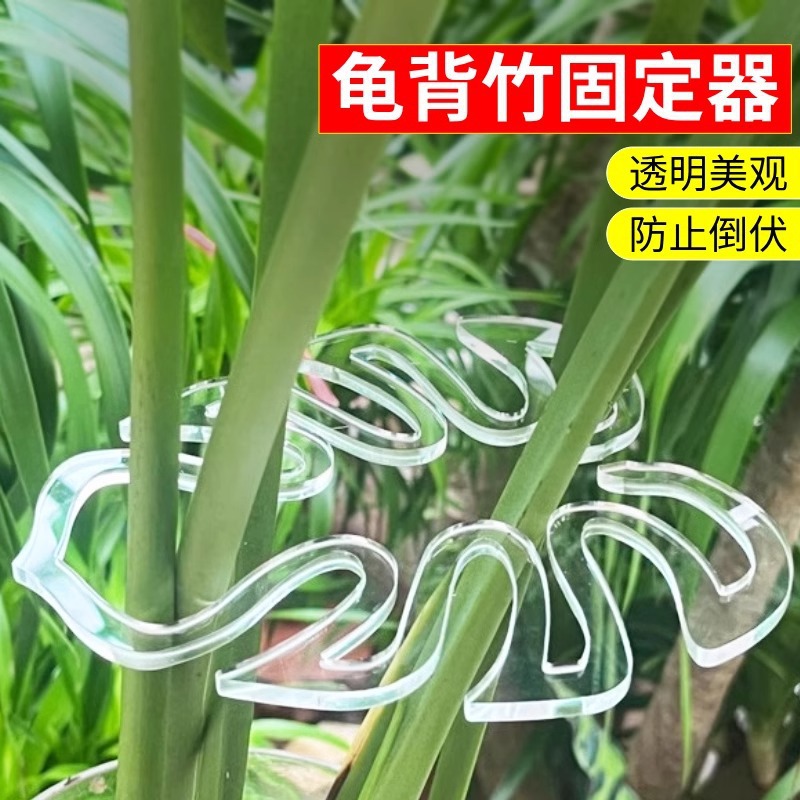 龟背竹支撑杆龟背支架花支撑架枝干收拢夹防枝干绿竹固定花架批发