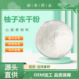 柚子冻干粉99%  纯柚子粉 柚子提取物 量大从优 田禾药业资质齐全