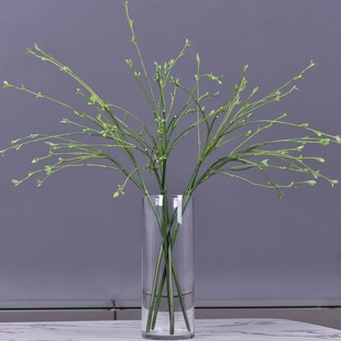 �S�����l������ѿ֦��֦�Ƶ�ҾӘӰ��g�廨��ķ���Gֲ��֦���l