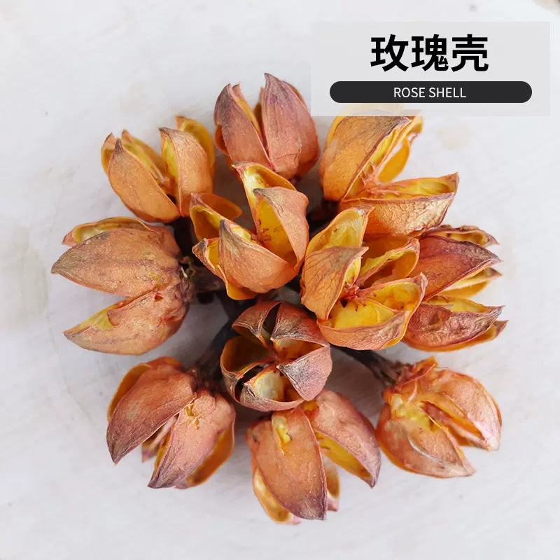 天然创意开口笑干花手工DIY干花制作材料户外拍摄道具散装玫瑰壳