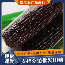 �|����Ŵ����10�����]���r������װ��ӷǼ�ʳ��ճ�۰�������߲�