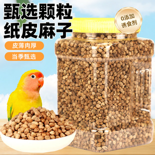 �B�Z�W�^������С̫ꖺ��Ќ���Ӗ��������ʳĵ�����P�����B�Z���